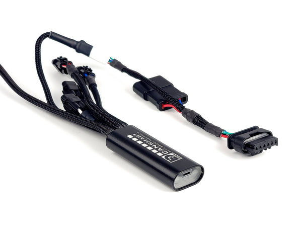 DENALI GEN II Pengontrol CANsmart untuk BMW R1300GS dan R1300GS Adventure, '24-25