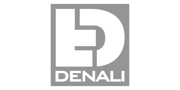 About Us – DENALI Electronics